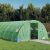 Staklenik s čeličnim okvirom zeleni 24 m² 6 x 4 x 2 m