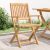 Sklopive vrtne stolice 2 kom 58 x 54,5 x 90 cm od drva bagrema
